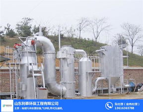 山东利泰环保 图 医用垃圾焚烧炉多少钱 医用垃圾焚烧炉